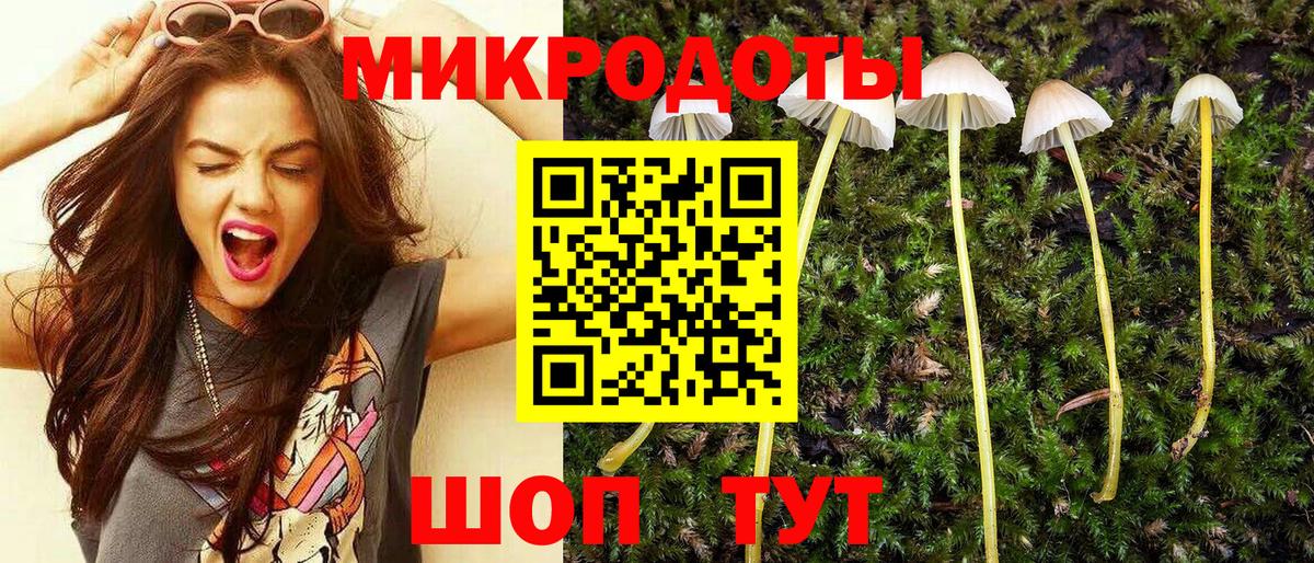 Магадан  Псилоцибиновые грибы GOLDEN TEACHER  Вход с VPN 
